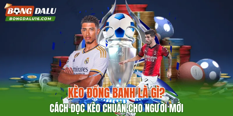 Kèo Đồng Banh – Khám Phá Cách Đọc Kèo Chuẩn Cho Người Mới